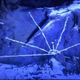 Image for article titled Red Dead Redemption 2 Players Are Still Unraveling All Of Its Mysteries